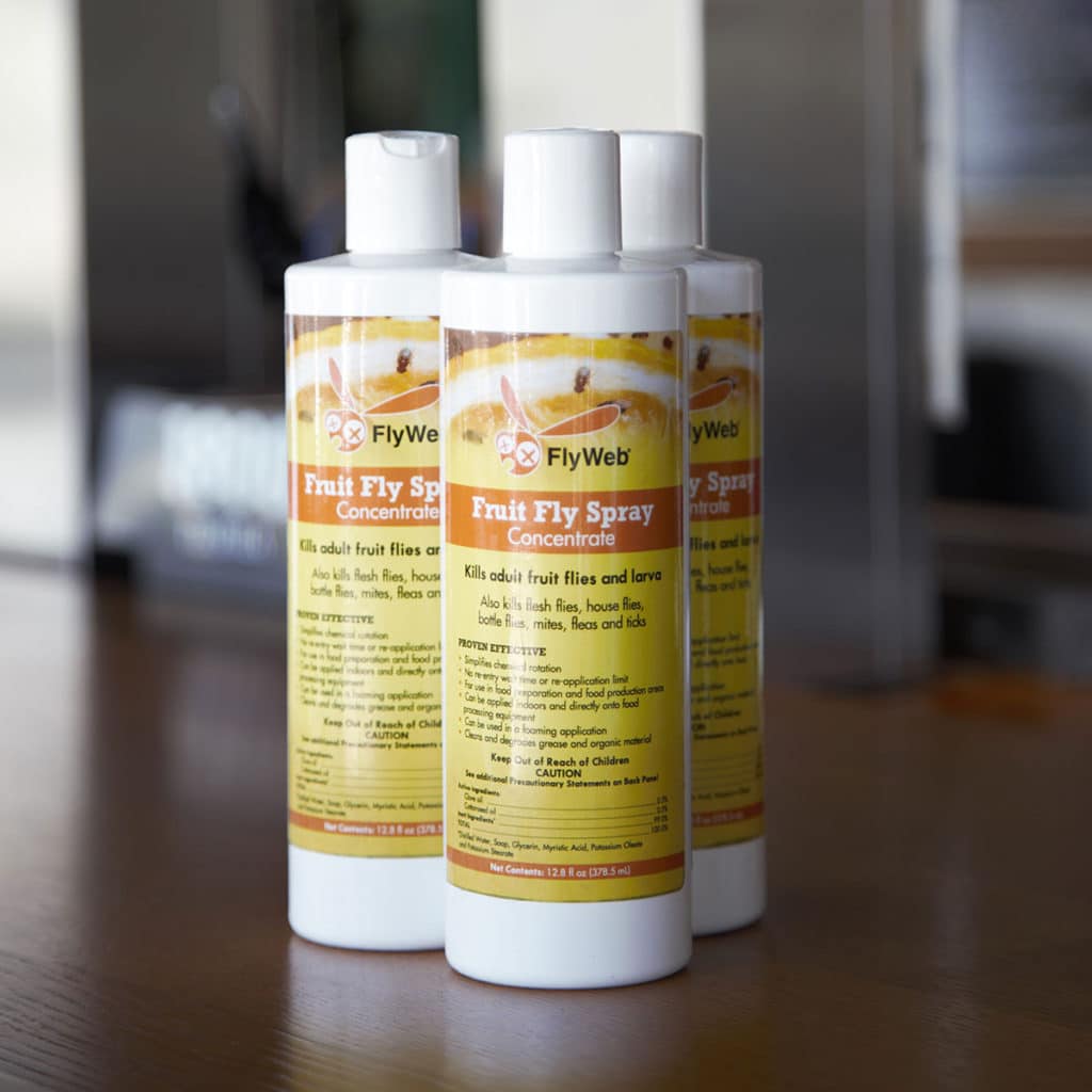 Fruit Fly Spray Concentrate