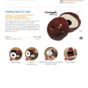 Trapple Fruit Fly Trap - Decorative Fruit Fly Control